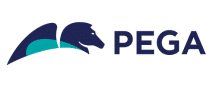 PEGA ICON | Bits In Glass Technology Icon