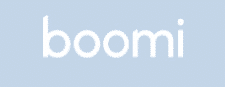 Boomi Icon