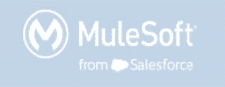 MuleSoft Icon | Bits In Glass Technology Partner